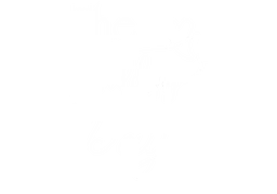 Ngày mình chung đôi